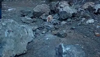 Dağdan Kaya Düştü, Kamyonet Mucizevi Şekilde Kurtuldu!