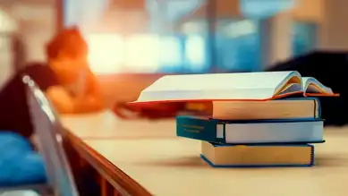 Yeni Üniversite Birimleri Kuruldu, Bazıları Kapatıldı